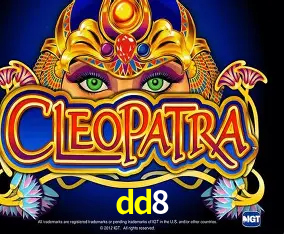 dd8 Curitiba - Live Status