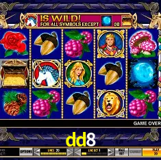 dd8 Rio de Janeiro - Bonus Terms